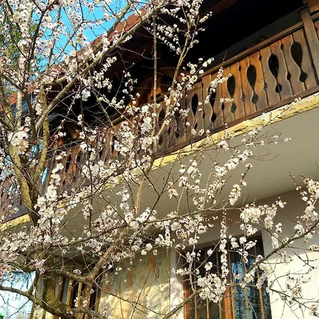 House Kapinovski Monastery Вилла Velchevo (Veliko Tarnovo)